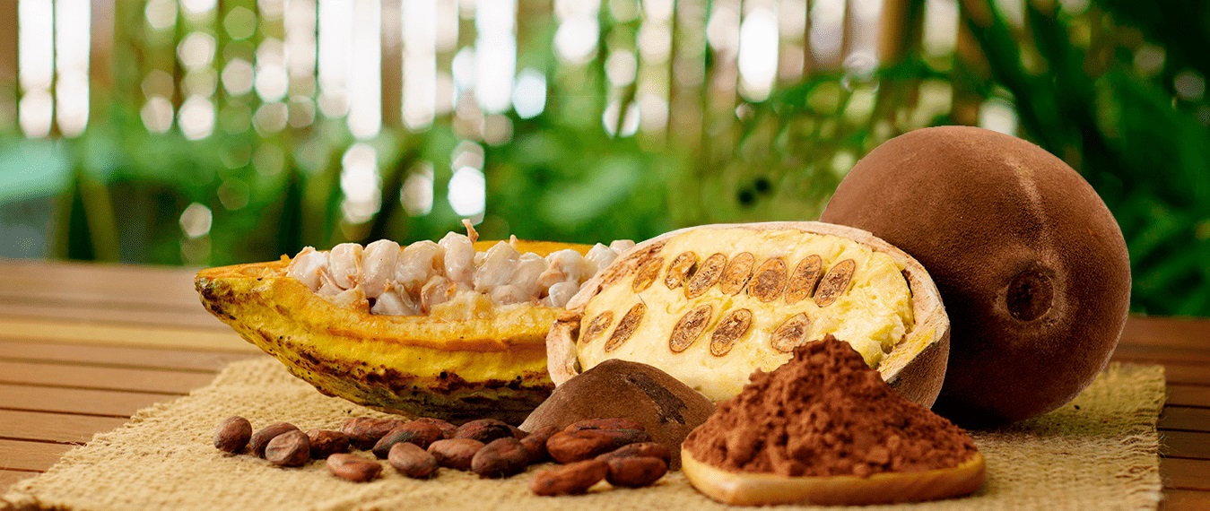 Manteca de cacao desodorizada