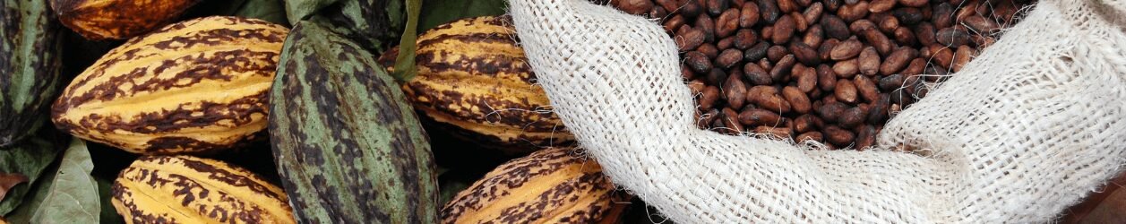 usos do CACAU ALÉM DA CULINÁRIA